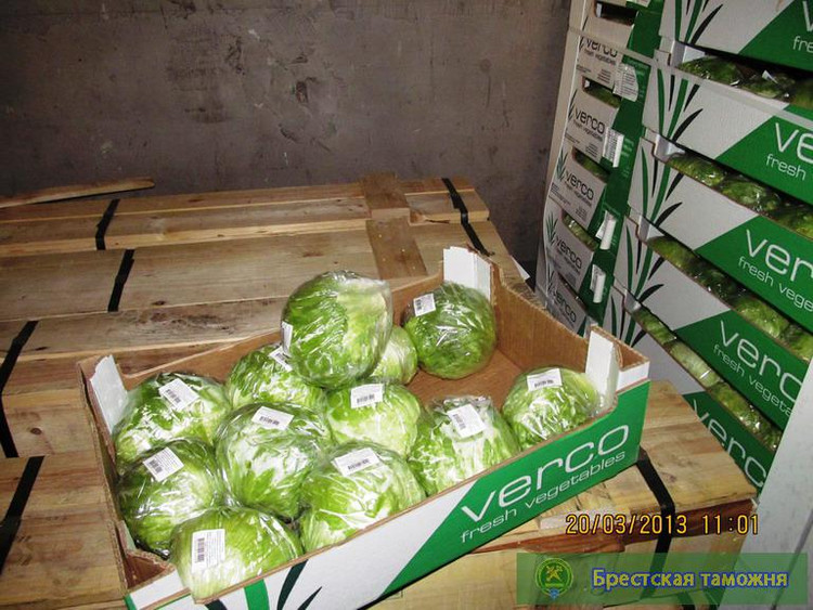 Более 2,5 тонны салата-латука изъято брестскими таможенниками