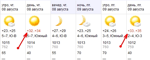 Метеорологи грозят Брестской области 35-ти градусной жарой