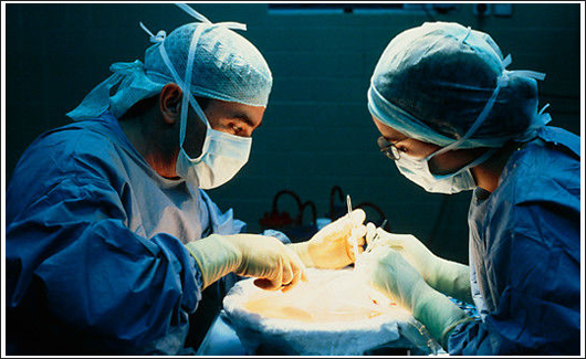 Первый региональный центр по трансплантации печени откроется в Бресте этой осенью