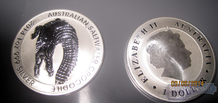 Серебряные монеты в сумме 1 тыс. $ нашли на границе