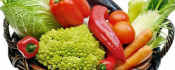 Валеологи рекомендуют брестчанам включать в рацион больше овощей, фруктов и растительных масел