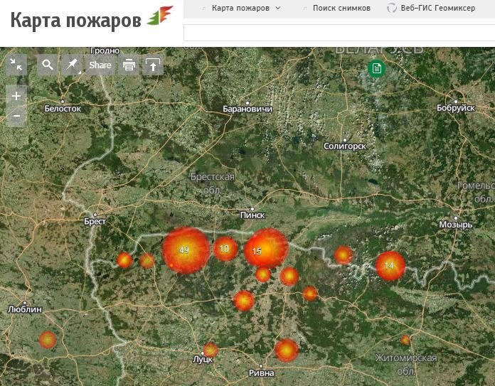 МЧС - смог в Бресте вызван пожарами в экосистемах Украины