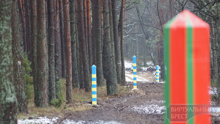 Сотый пограничный знак установлен на белорусско-украинской границе