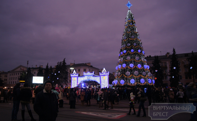 Состоялось открытие главной новогодней елки города Бреста