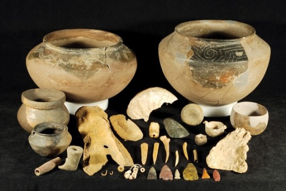 Легализовать археологические артефакты в Беларуси нужно до 1 января 2017 года