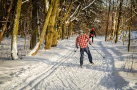 В Беловежской пуще появился новый маршрут для любителей покататься на лыжах