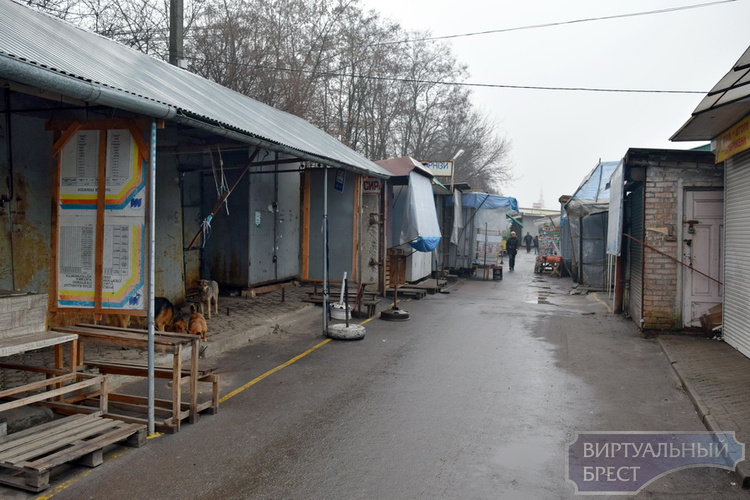 Какой нынче шопинг в Украине? Галопом по Ковельским рынкам