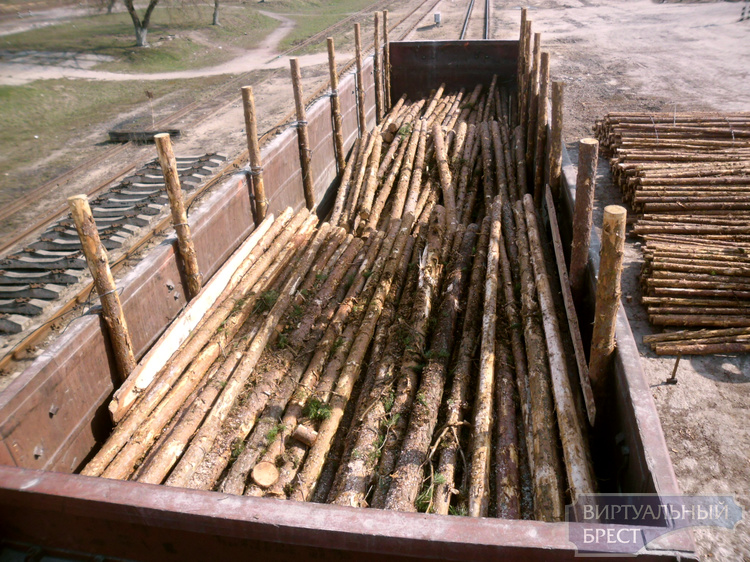 В вагоне с древесиной вновь обнаружили нелегальную партию табачной продукции