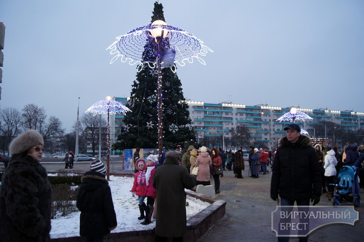 Состоялось открытие новогодней елки Московского района г.Бреста