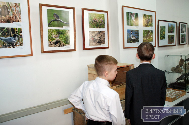 1 апреля в Брестском областном краеведческом музее открылась тринадцатая «Неделя птиц»