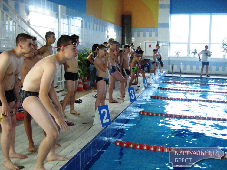 VIII районная летняя спартакиада «Сделай правильный выбор» была открыта в бассейне