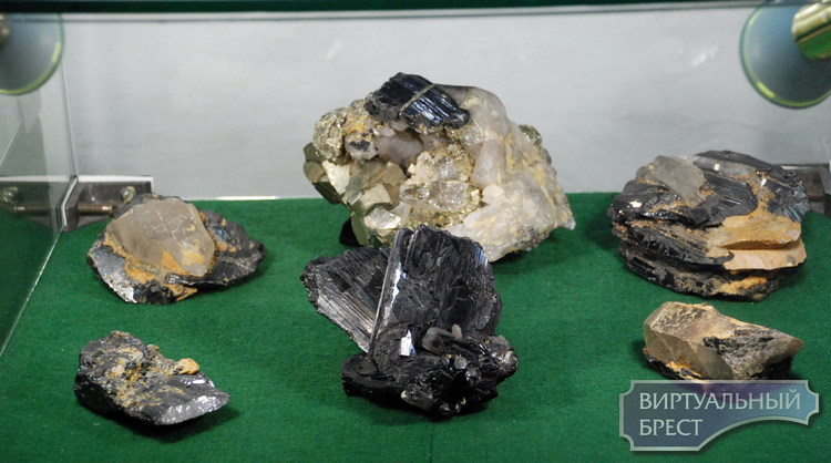 Открылась выставка минералов и горных пород «Красота недр Земли»