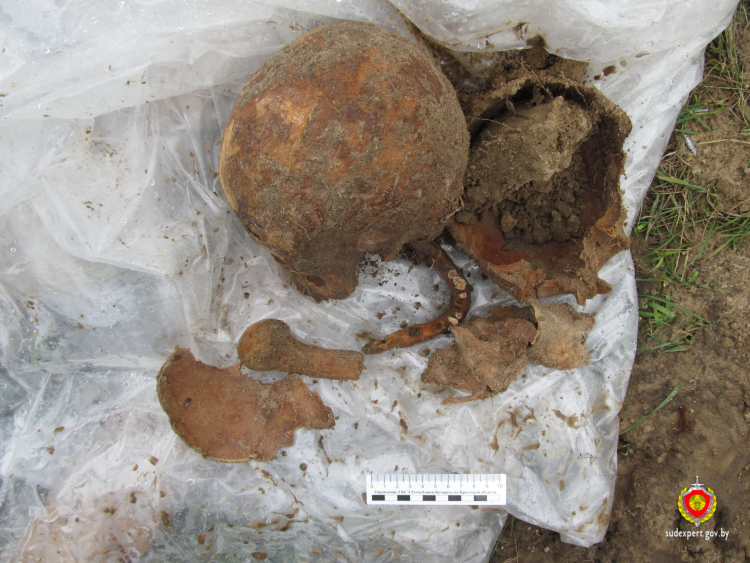 Костные останки обнаружены в Брестском районе в д. Ямно