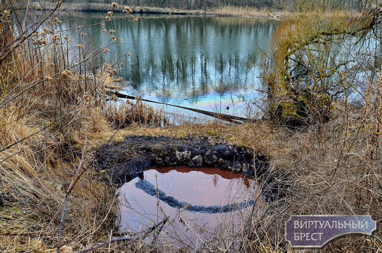 Остатки нефтепродуктов попали в реку в Жабинке
