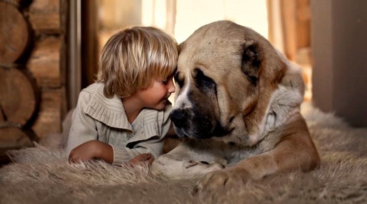 В Бресте детей начнут лечить собаки-реабилитологи