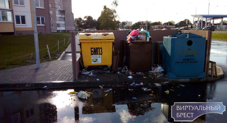Ситуация с мусорными контейнерами около дома по ул. Пионерской, 30 требует внимания