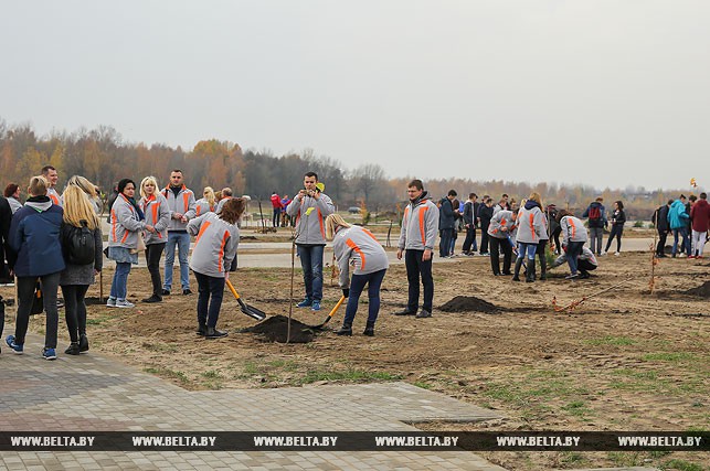 Более 19 тыс. деревьев высадили в Год малой родины в городах и деревнях Брестской области