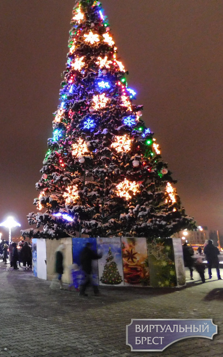 Состоялось открытие главной новогодней елки Московского района г. Бреста. Как это было?