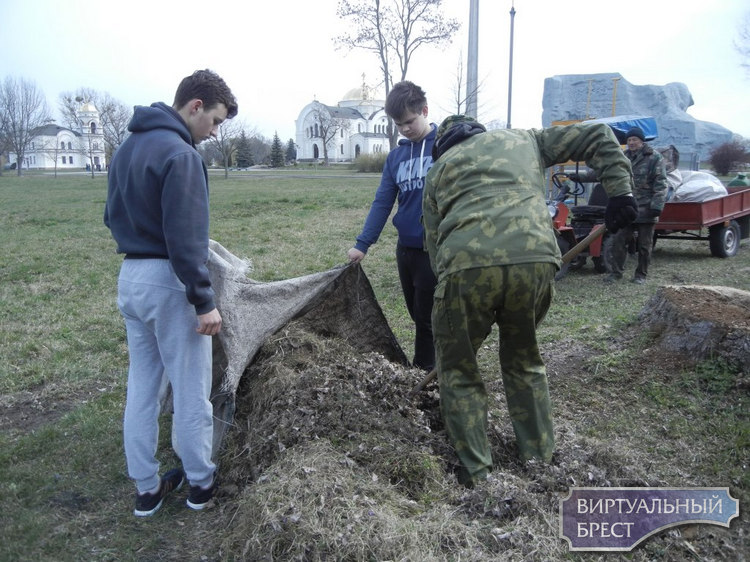 Молодежь и ветераны труда Ленинского района приняли участие в экологическом субботнике