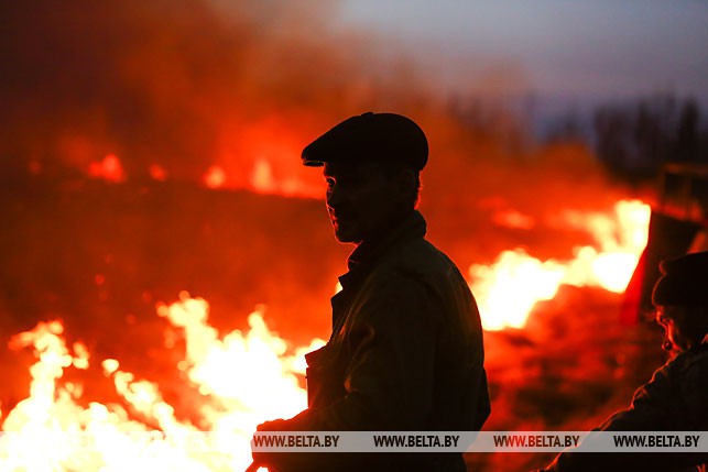 В Столинском районе третьи сутки тушат пожар на Ольманских болотах