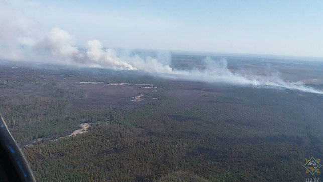Пожар на территории Вильемского лесничества в Столинском районе ликвидирован