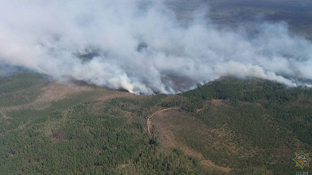 Пожар на территории Вильемского лесничества в Столинском районе ликвидирован