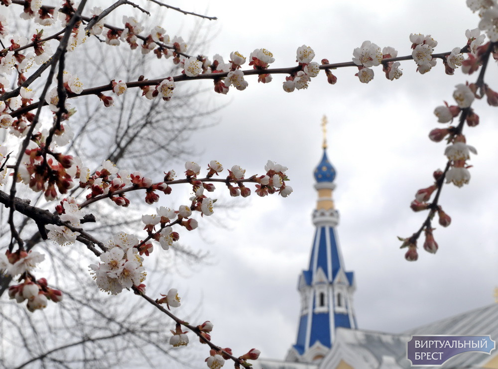 10 апреля православный праздник