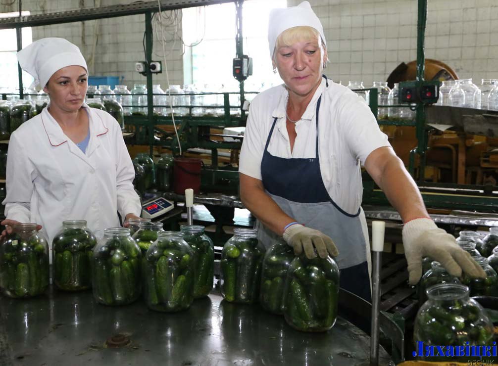 Посмотрите, как «закручивают» малосольные огурцы на Ляховичском