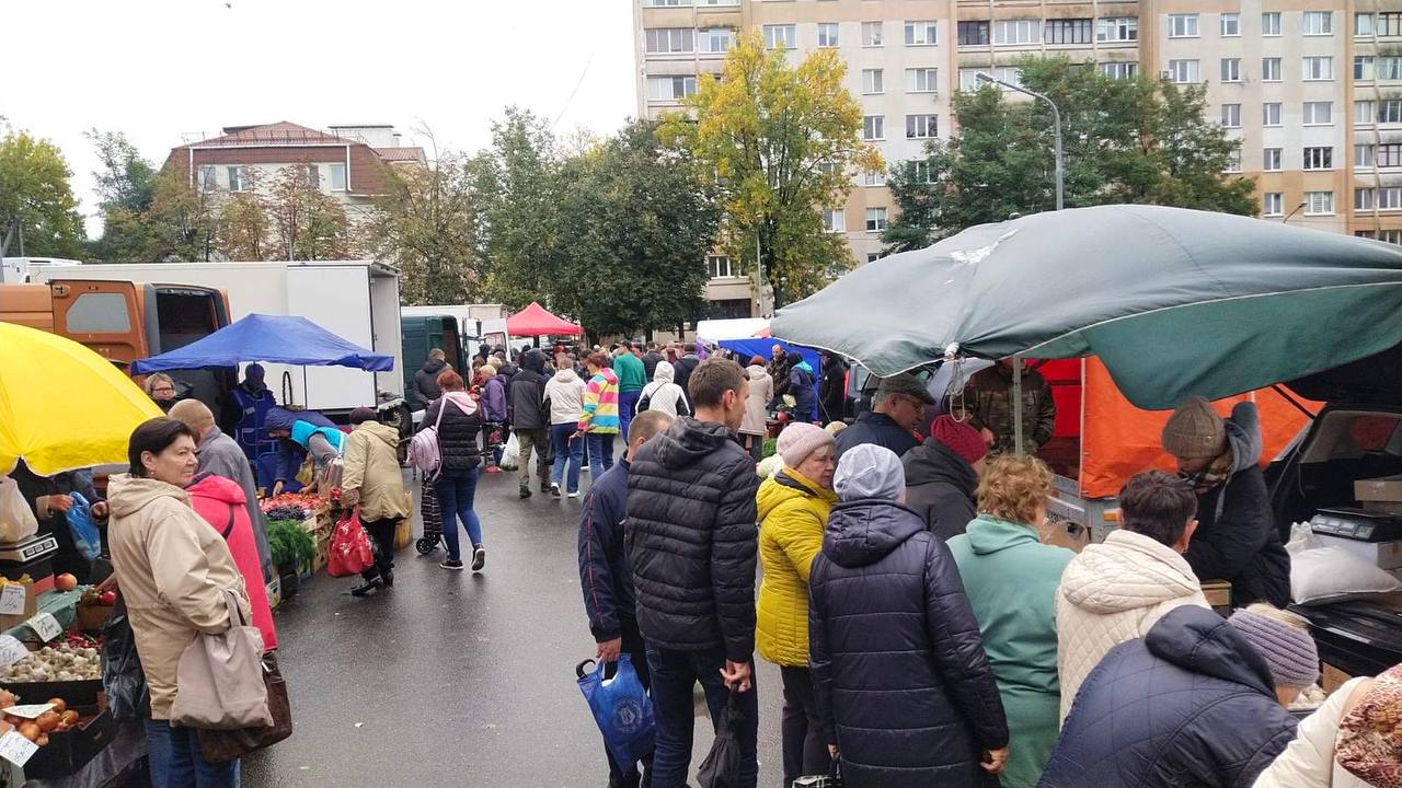 Сельскохозяйственные ярмарки стартовали в Бресте