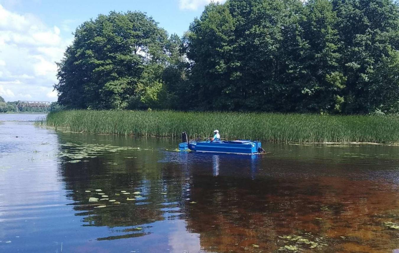 В Бресте начата активная работа по уборке водной глади от растительности